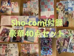 Sho-comi 付録 2010年代　レア　40点　セット　カレンダー　生写真