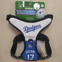 Item thumbnail for item 497d6c05-d496-4e75-9355-a08218c0cc55