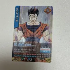 ドラゴンボールZ データカードダス 孫悟飯(青年期) 激レア