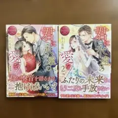 君に永遠の愛を 全2巻 井上美珠