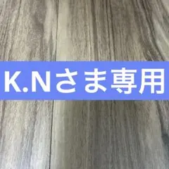 Ｋ．Ｎさま専用ページ
