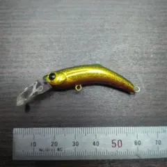 バスデイ　はぜむしSSのサムネイル