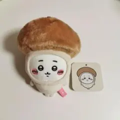 2026年最新】しめじ ぬいぐるみの人気アイテム - メルカリ