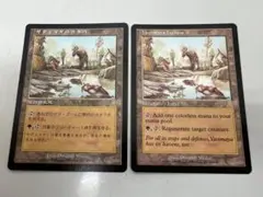 MTG ヤヴィマヤの沿岸 Yavimaya Coast 英語 3枚 - メルカリ