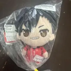 ハイキュー!! 黒尾鉄朗 ぬいぐるみ ぷちっしゅ！VOL.2 未開封