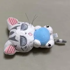 2026年最新】子猫のチーの人気アイテム - メルカリ