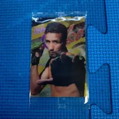 Kleber Koike UFC トレーディングカード