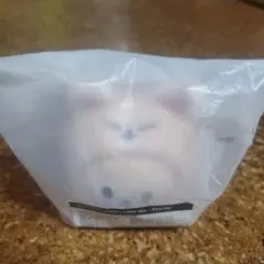 フォクシニー アイドル