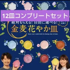 2026年最新】花やか皿コンプリートの人気アイテム - メルカリ