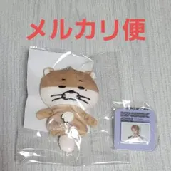 BOYNEXETDOOR リウ ダーリン ペンライトキーリングカバー ボネクド BOYNEXETDOOR リウ ダーリン ペンライトキーリングカバー ボネクド