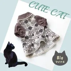 Item thumbnail for item 0cb46f93-3126-4ea3-9aed-cc00e9d194d1