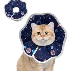 Item thumbnail for item 77193dff-df00-41a1-bdcc-767bef6dd44f