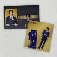 SnowMan 目黒蓮 トリリオンゲーム アクリルスタンド アクスタ