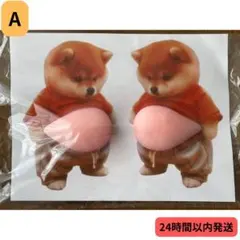 muu♡様 リクエスト 8点 まとめ商品