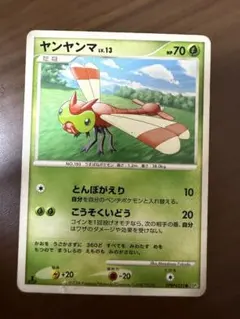 ヤンヤンマ LV.13 DPBP#221