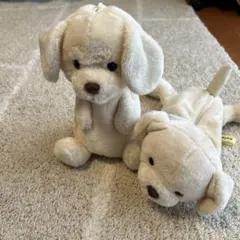 Item thumbnail for item c3011294-2c68-47b3-bc4a-32dd57ec98b5