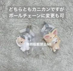 SKZOO つまんでつなげてますこっと　ジニレット フォクシニー スキズ