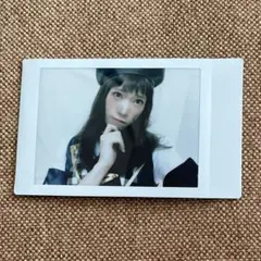 パンダドラゴン たいが チェキ 13