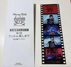 スキズ Stray Kids チャンビン 映画特典第2弾 フィルム風しおり