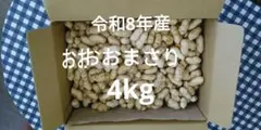 4kg 令和8年産 ゆで落花生 おおまさり 4kg 令和8年産 ゆで落花生 おおまさり - メルカリ