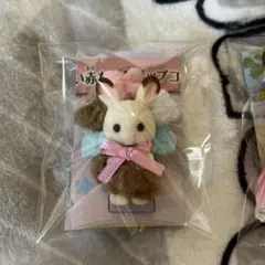 ショコラウサギの小さい赤ちゃん