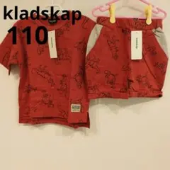 【110】kladskap　クレードスコープ　Tシャツ　パンツ　2点セット　恐竜