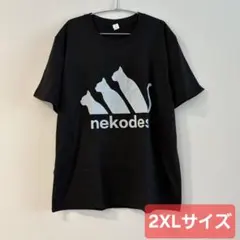 韓国tシャツ