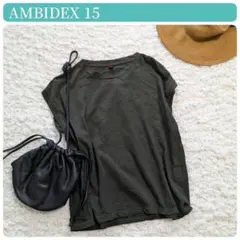 美品【AMBIDEX15】アンビデックス　フレンチスリーブ　Tシャツ　日本製のサムネイル