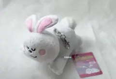 【新品未使用タグ付き】ギンビス　たべっこどうぶつ うさぎ すやすや　パスケース