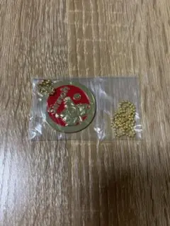 ポケモン 1番くじ シンオウ地方 メタルキーホルダー ヒコザル