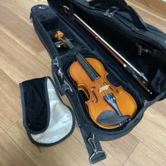 2026年最新】EASTMAN vl80の人気アイテム - メルカリ