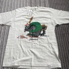 Item thumbnail for item 1c936962-ee10-49d4-962c-d112c7975231