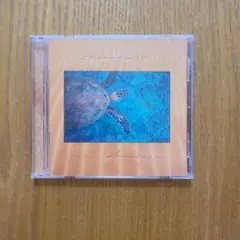 エリック・ジョンソン／スーヴェニール（輸入盤）