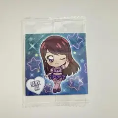 にふぉるめーしょん アイカツ！ シールウエハース R 紫吹蘭