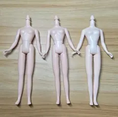 ネオブライス　ブライス　ボディ