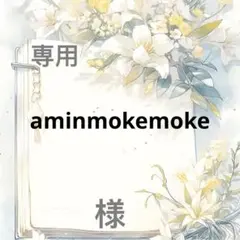 aminmokemoke 様　専用