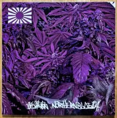 2026年最新】northernblueの人気アイテム - メルカリ