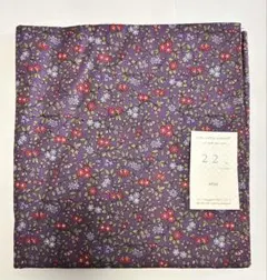 Item thumbnail for item c6e7e382-ff0f-4641-a2a5-c628c0477924