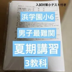 2026年最新】浜学園 小6 復習テストの人気アイテム - メルカリ
