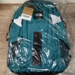 THENORTHFACEザノースフェイス　リュックHot Shot SE 30L