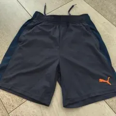 Puma ハーフパンツ ネイビー150