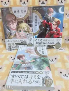 コミック　完結　3冊セット