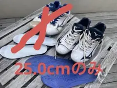 Mizuno 中古 少年野球スパイク 25.0cm