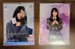 櫻坂46 森田ひかる ビルディバイド ブライト ブライトテリトリー BT