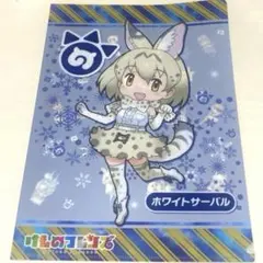 けものフレンズ ホワイトサーバル A4クリアファイル 2枚 未使用 どん