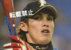 陽　岱鋼　 直筆　サイン 　日ハム　巨人　ジャイアンツのサムネイル