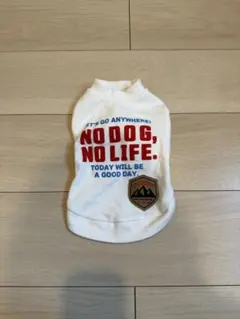 Item thumbnail for item 93f39ad1-7c1b-4f0c-b606-3592ab150c1a