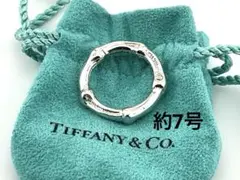 2026年最新】ティファニー バンブー ピアスの人気アイテム - メルカリ