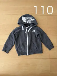 ザノースフェイス 100