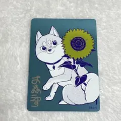 2026年最新】シバつき物件 特典の人気アイテム - メルカリ